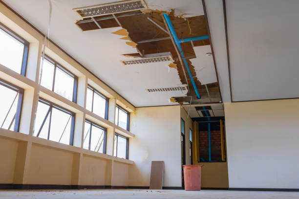 Reliable Wyldwood, TX Water damage restoration Solutions