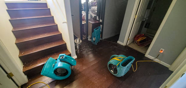 Best Carpet water damage restoration  in Wyldwood, TX