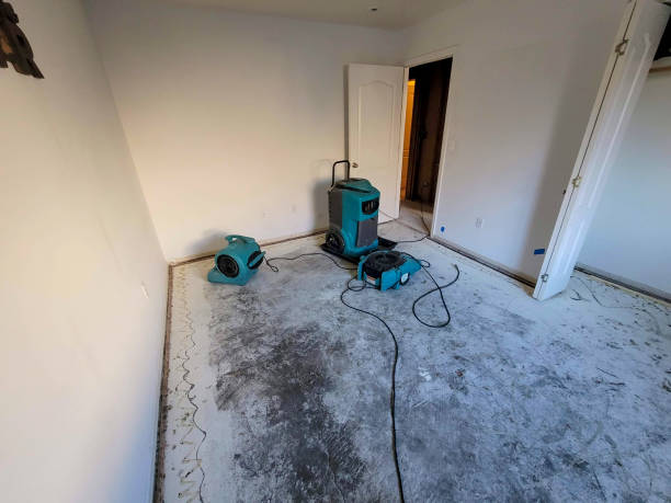 Best Flood damage cleanup  in Wyldwood, TX