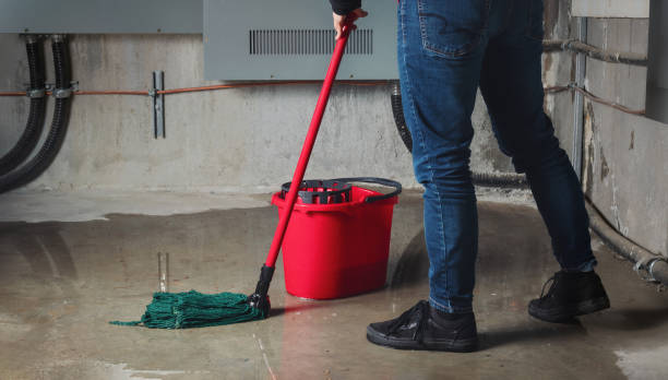 Best Flooded house restoration  in Wyldwood, TX