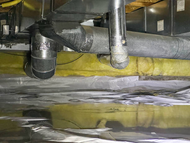 Best Water damage restoration mold remediation  in Wyldwood, TX