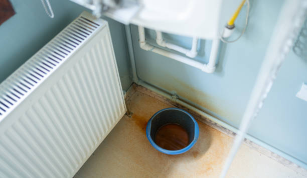Best Ceiling water damage repair  in Wyldwood, TX