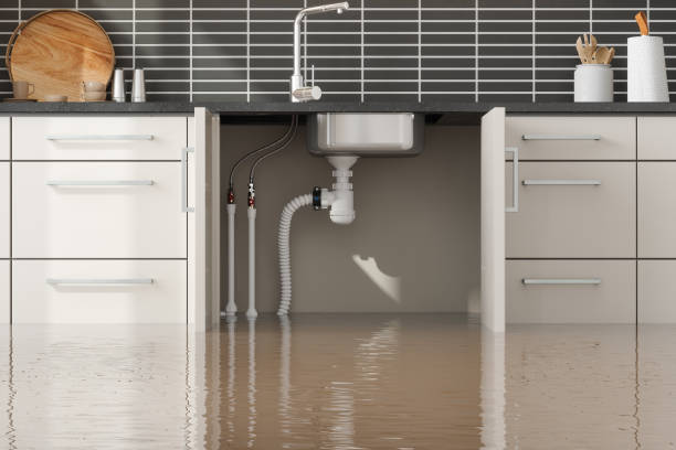 Best Water damage restoration near me  in Wyldwood, TX