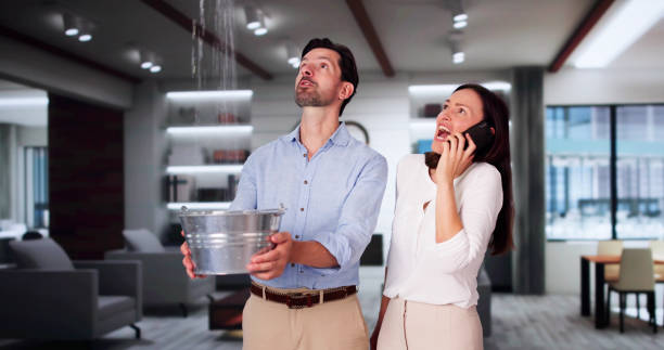 Best Water damage contractors near me  in Wyldwood, TX
