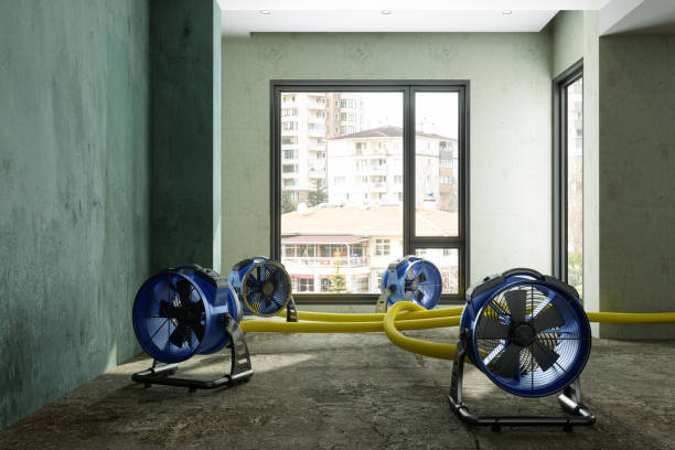 Best Emergency water damage restoration  in Wyldwood, TX