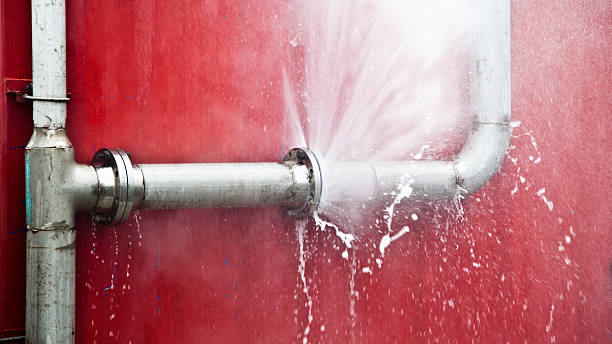 Best Mold removal after water damage  in Wyldwood, TX